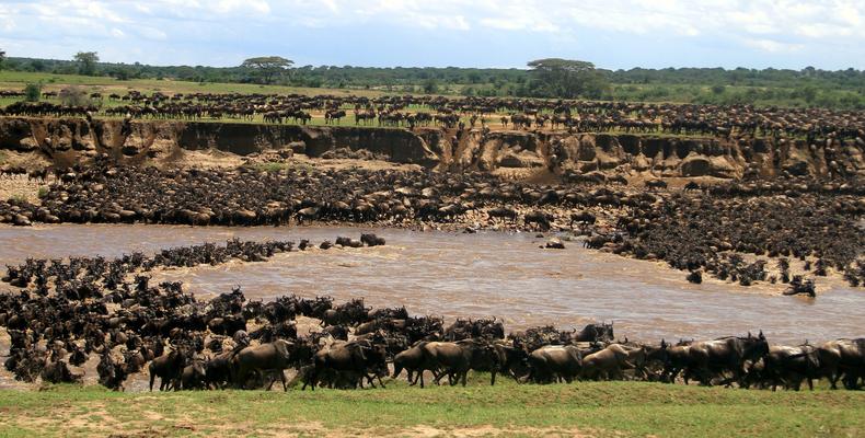 Nyasi Tented Camp