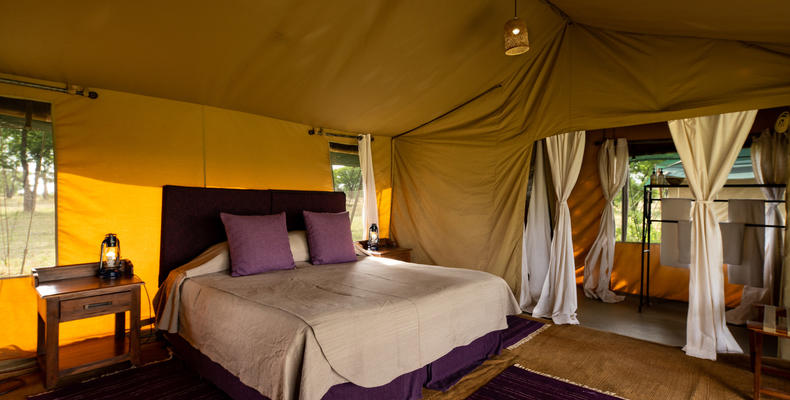 Tent inside 