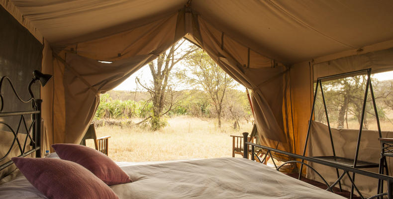 Ndutu Under Canvas - South Serengeti