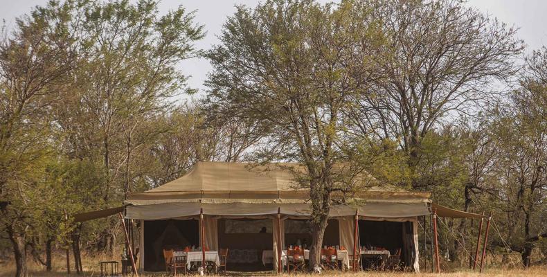 Ndutu Under Canvas -South Serengeti