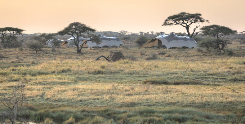 Namiri Plains - Camp Surrounds