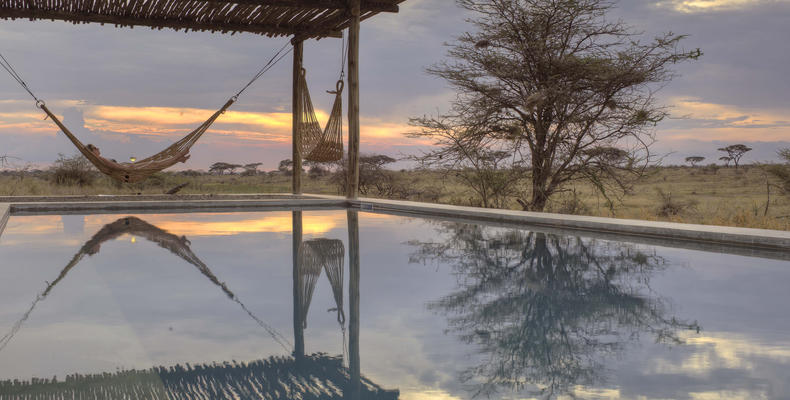 Namiri Plains - Pool Hammock with View