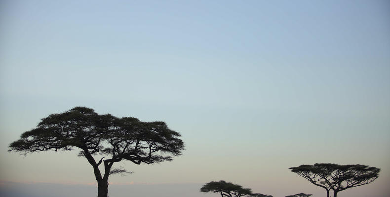 Kimondo Camp - Landcape