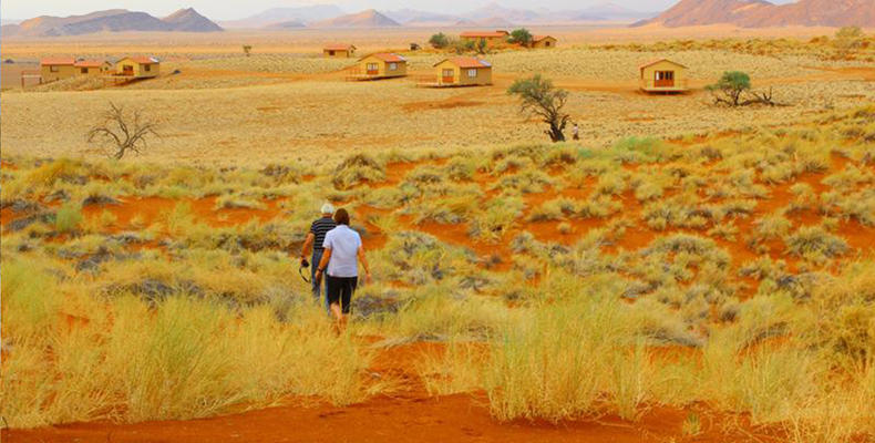 Namib Dune Star Camp 
