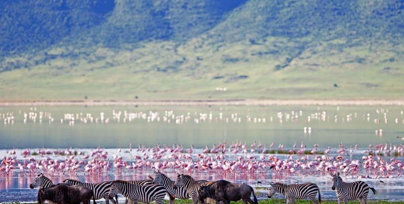 Sanctuary Ngorongoro Crater Camp game drive