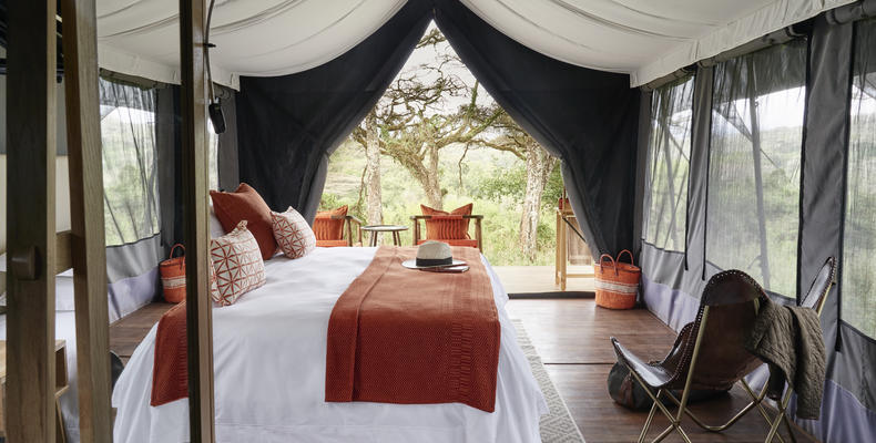 Tent