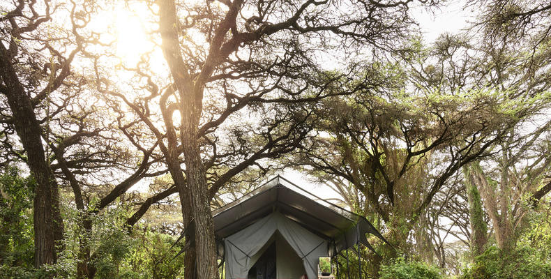 Tent exterior