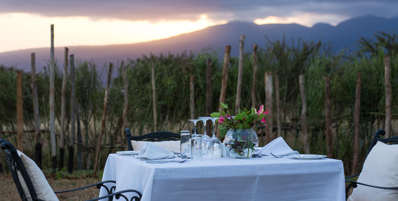 Dinner with Mountain View