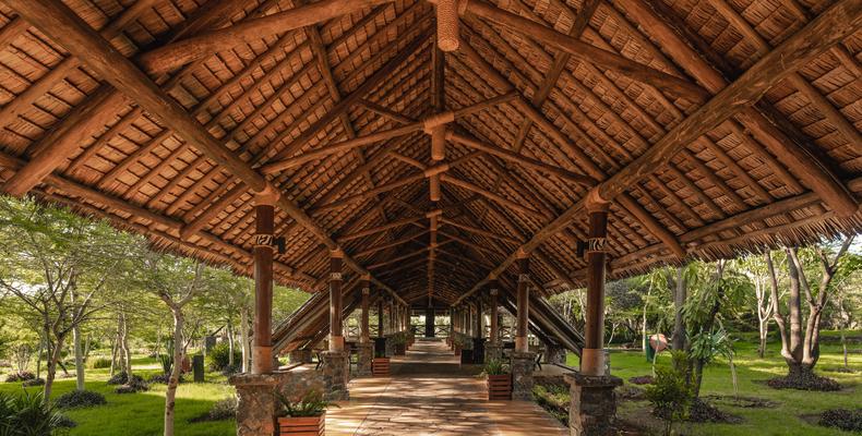 Lodge Area