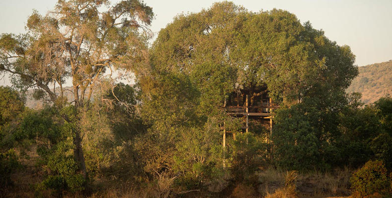 The Nest from the river