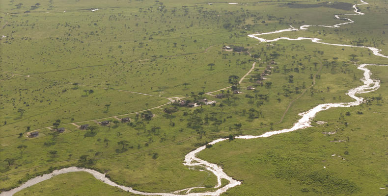Ariel View