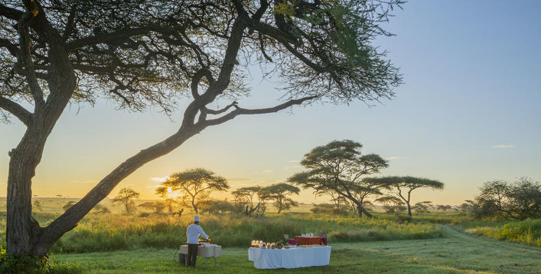 Bush Dining