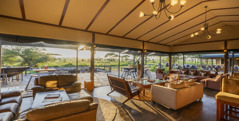 Lounge & Bar
