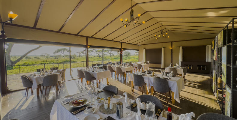 Gourmet Safari Delights
