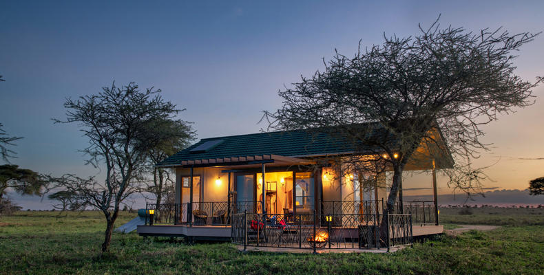 Serengeti Sametu Elegance