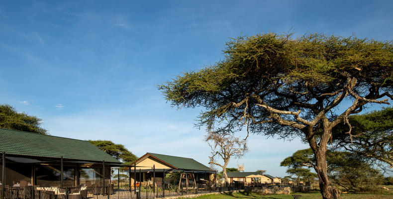Serengeti Sametu Camp