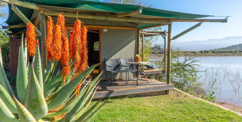 Waterhole Luxury Tents with view