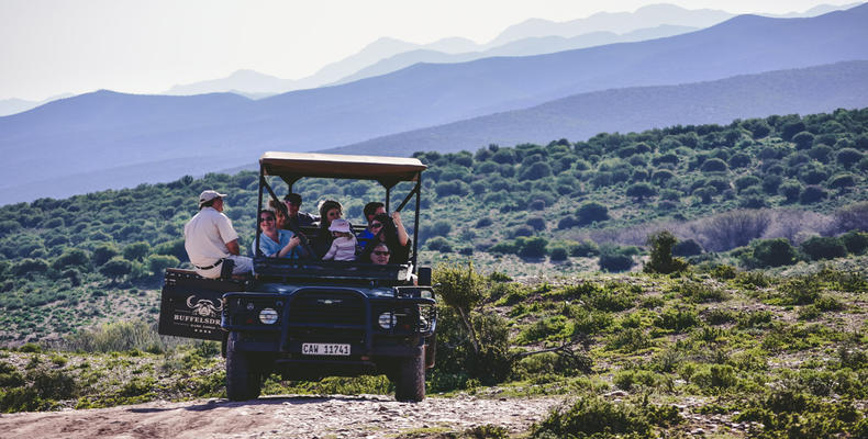 Game drives and safaris