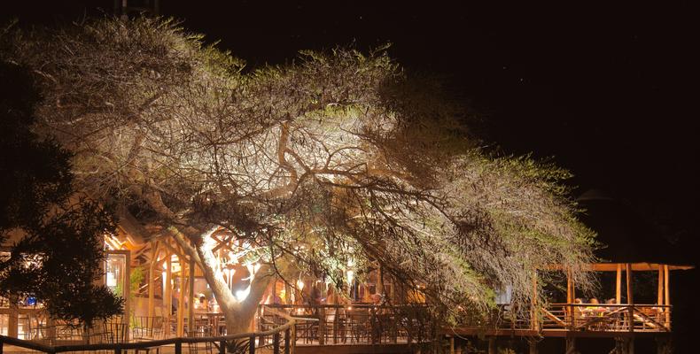 Buffelsdrift Restaurant at Night