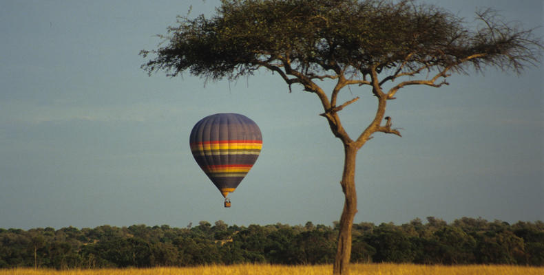hot air balloon safari