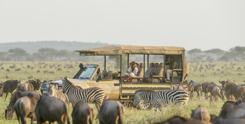 private game drive cars for every booking at Roving Bushtops