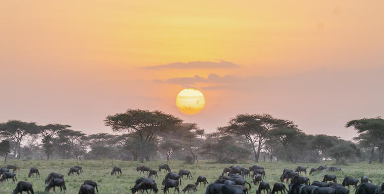 Breathtaking moments