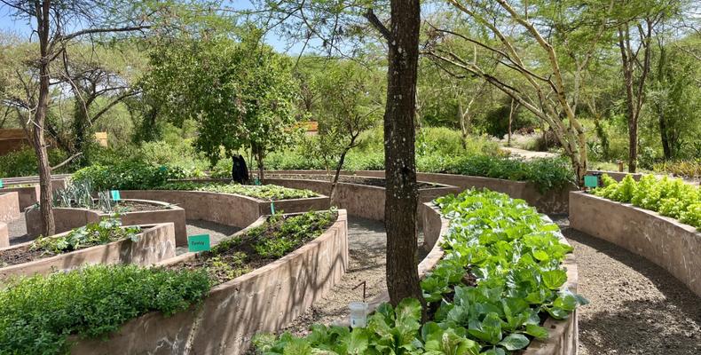 Organic Garden