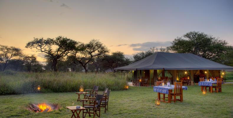 Bush Dinner Set up 2