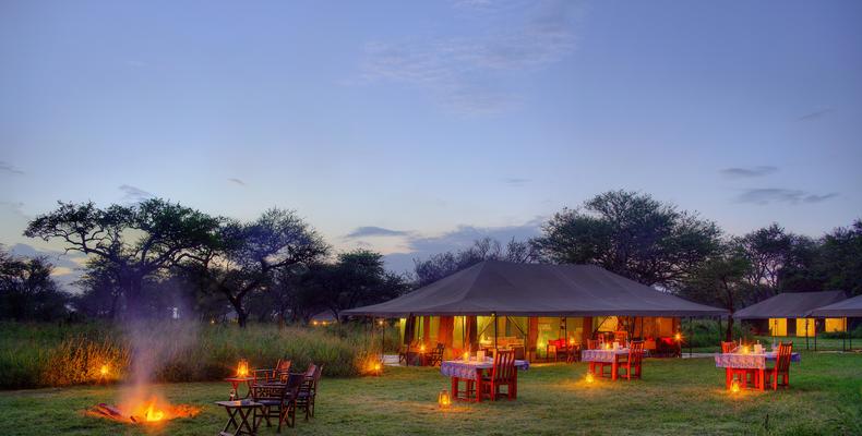 Bush Dinner set up 3