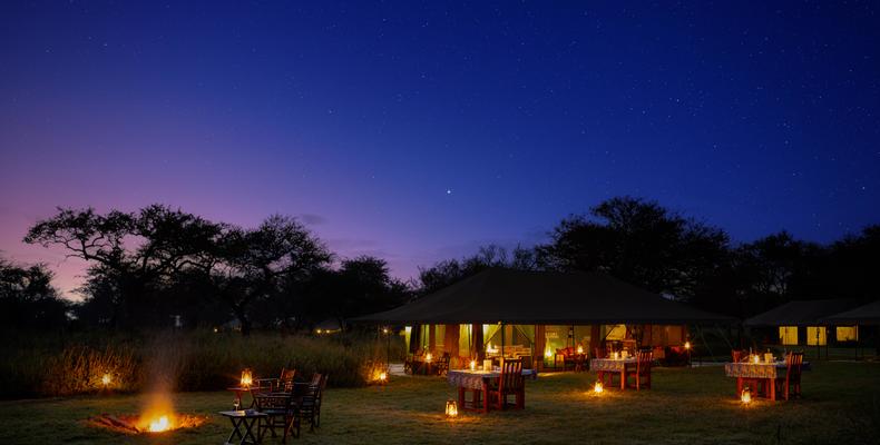 Bush Dinner - Twilight