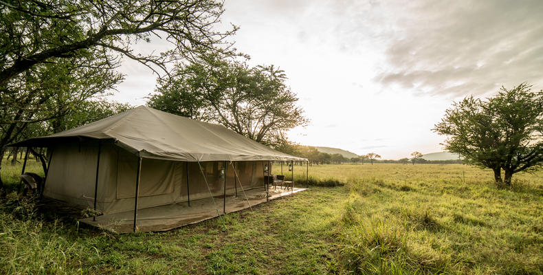 Guest Tented Suite