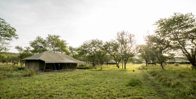Guest Tented Suite