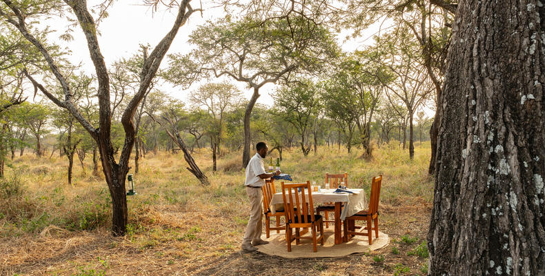 Bush Breakfast