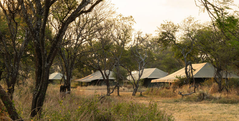 Camp Layout