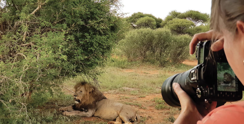 Game Drives