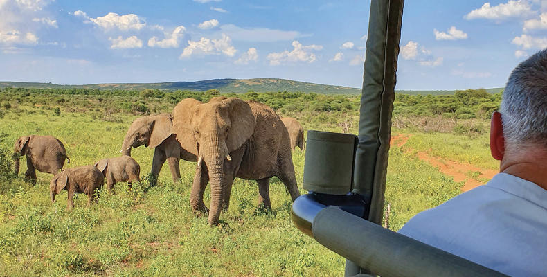 Game Drives