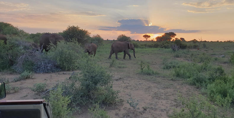 Game Drives