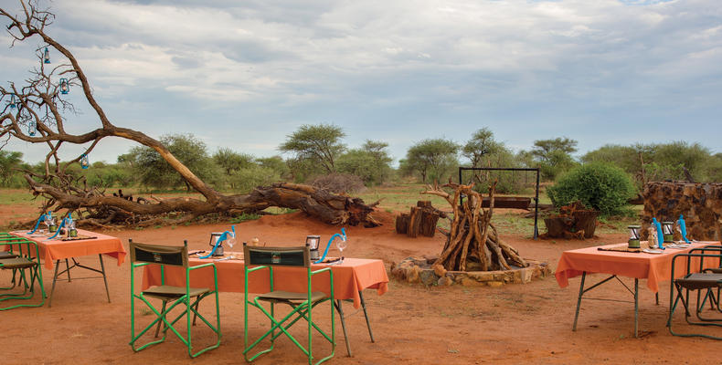 Bush Dinner
