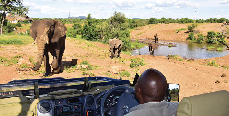 Game Drives