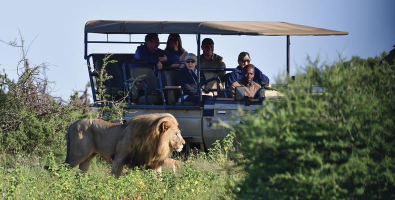 Game Drives