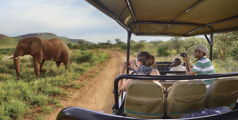 Game Drives
