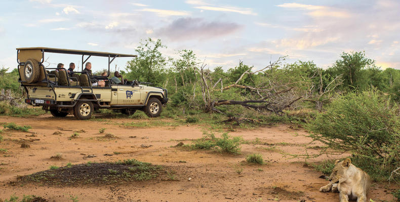 Game Drives