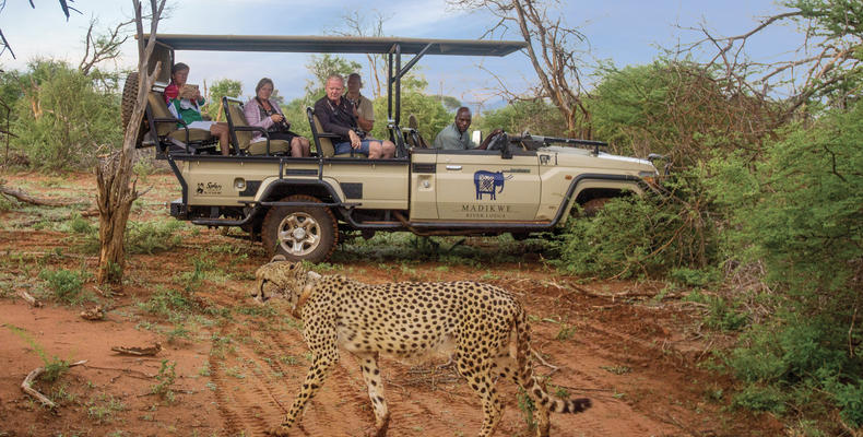 Game Drives