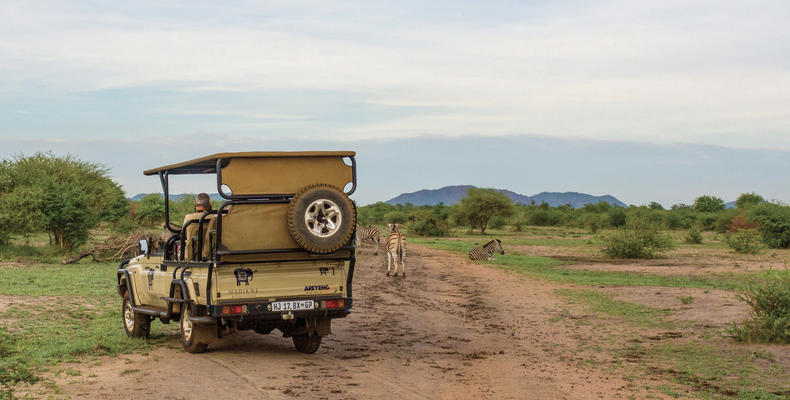 Game Drives