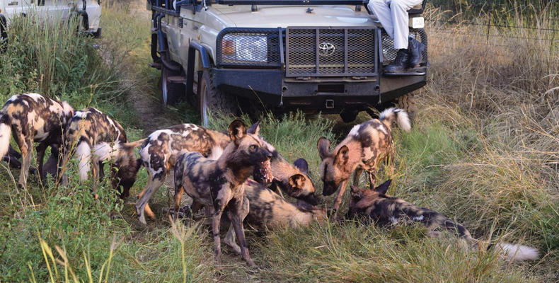 Game Drives