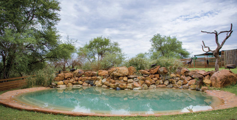 Rock Pool 
