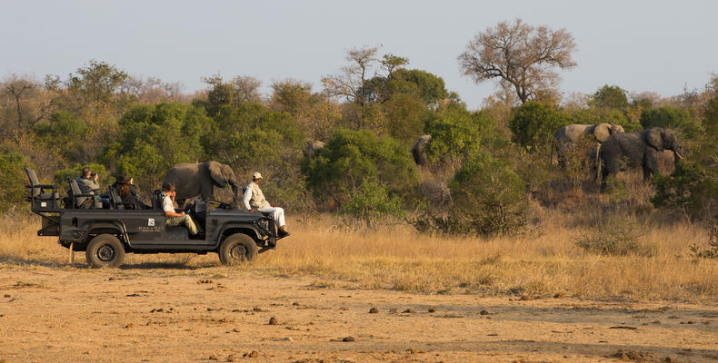 Game drive with Elephants
