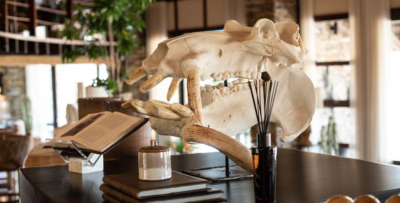 Entrance display