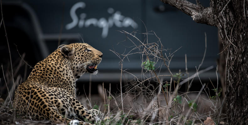 Game Drive