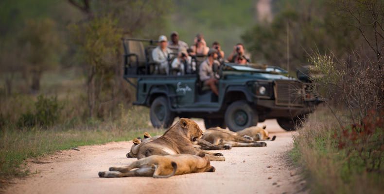 Game Drive